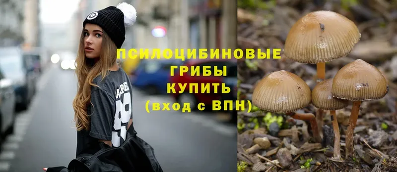 цены наркотик  Ивангород  Галлюциногенные грибы Magic Shrooms 